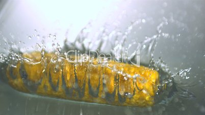 Corn cobs falling in water
