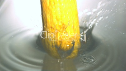 Corn cob falling in water