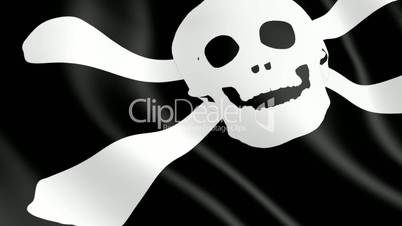 the pirate flag