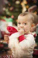 Infant Mixed Race Baby Enjoying Christmas Morning Near The Tree