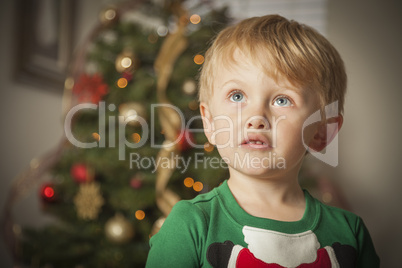 Young Boy Enjoying Christmas Morning Near The Tree