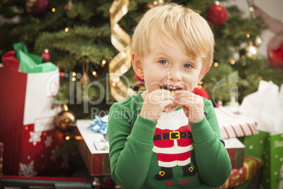 Young Boy Enjoying Christmas Morning Near The Tree