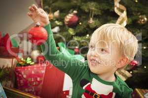 Young Boy Enjoying Christmas Morning Near The Tree