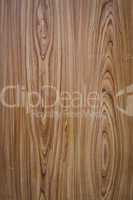 Old wood texture background with tree rings