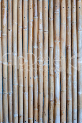 Natural bamboo texture concealed cement wall