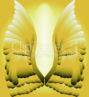 angel wings