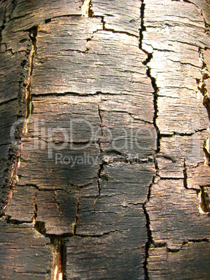 Wooden dark background