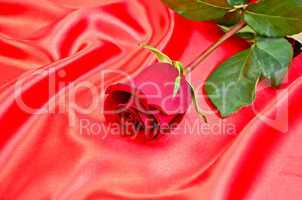 Rose on a red silk