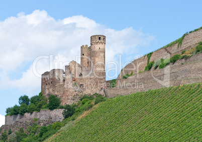 Burg im Weinberg - Castle in Vineyard