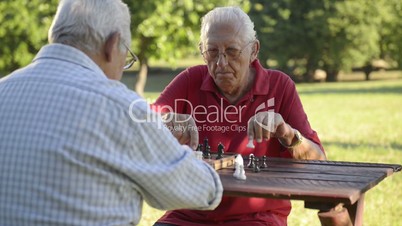 Active retired people, two senior friends playing chess at park