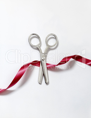 Ribbon Cutting