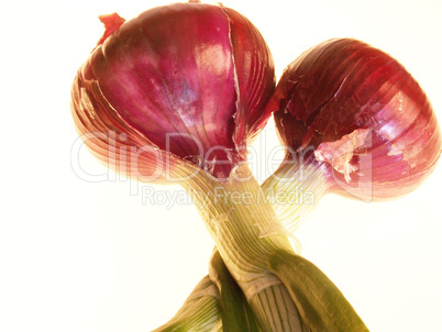 Red onions