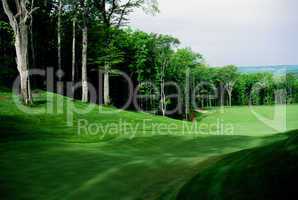 Michigan's Treetops Golf Resort