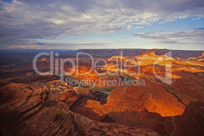 Green River Gooseneck