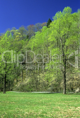 Great Smoky Mountains National Park