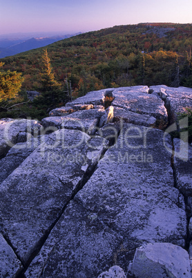 Autumn Scenic, Dolly Sods, WV