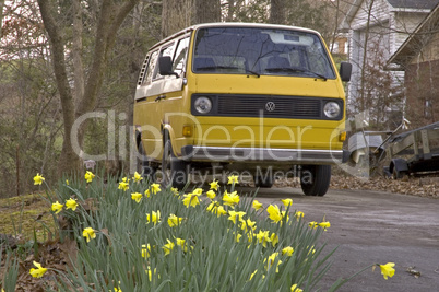 VW Vanagon, Daffodils