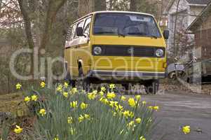 VW Vanagon, Daffodils