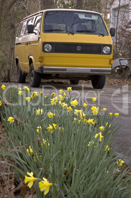 VW Vanagon, Daffodils