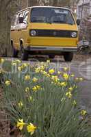 VW Vanagon, Daffodils