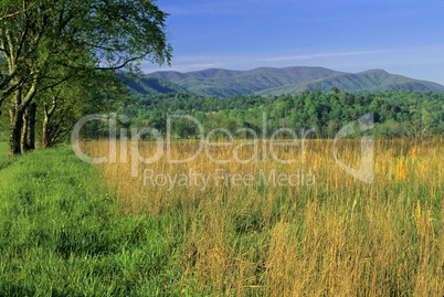 Great Smoky Mountains National Park