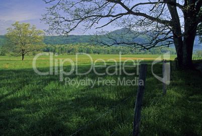 Cades Cove, Great Smoky Mountains