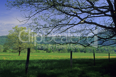 Cades Cove, Great Smoky Mountains