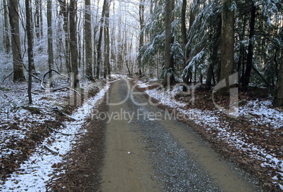 Winter, Greenbrier, Great Smoky Mtn