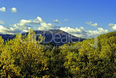 Mt. LeConte from Foothills Parkway