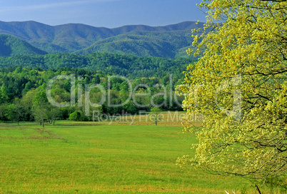 Cades Cove, Great Smoky Mtns NP