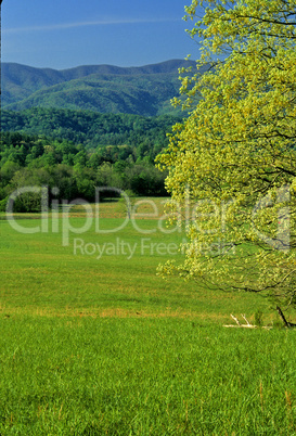 Cades Cove, Great Smoky Mtns NP