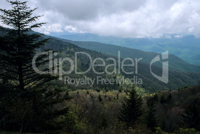 Scenic, Blue Ridge Parkway, NC