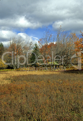 Dolly Sods, Monongahela NF, WV