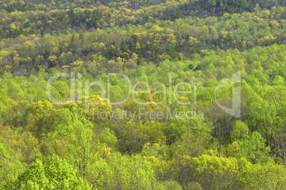 Great Smoky Mountains National Park