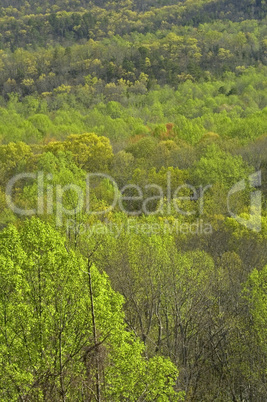 Great Smoky Mountains National Park