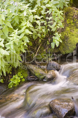 Waterfall and Rocks