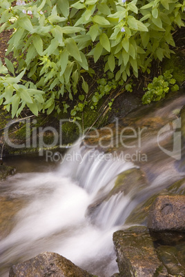 Waterfall and Rocks