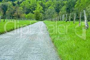 Road, Cades Cove, Great Smoky Mtns