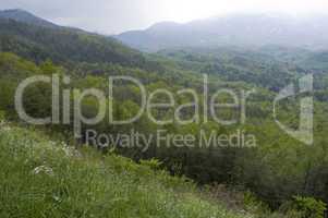 Smokies from Foothills Parkway