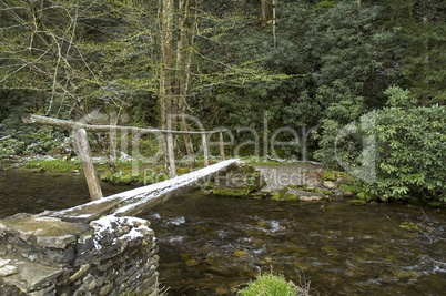 Log Footbridge, Cataloochee Creek