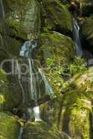 Great Smoky Mountains National Park