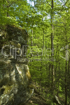 Great Smoky Mountains National Park