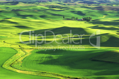 Spring on the Palouse