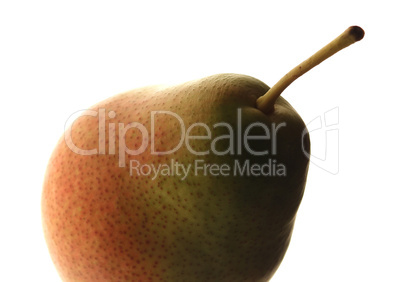 single pear