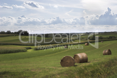 Bales of Hay