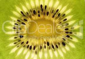 kiwi fruit