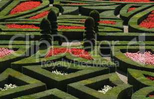 villandry garden