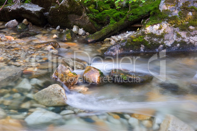 Mountain Stream and Rock