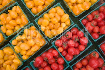 Cherry Tomatoes