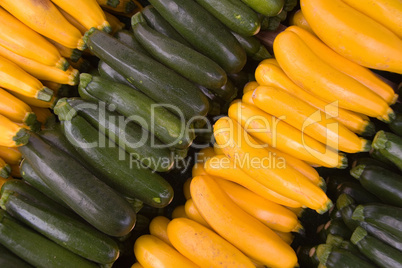 Zucchini